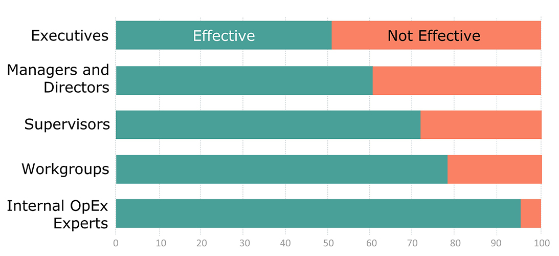 Graph that answers the opex question related to how different levels of the organization view operational excellence success.